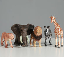 Загрузить изображение в средство просмотра галереи, Best Seller - African animals with stories for INDEPENDENT PLAY
